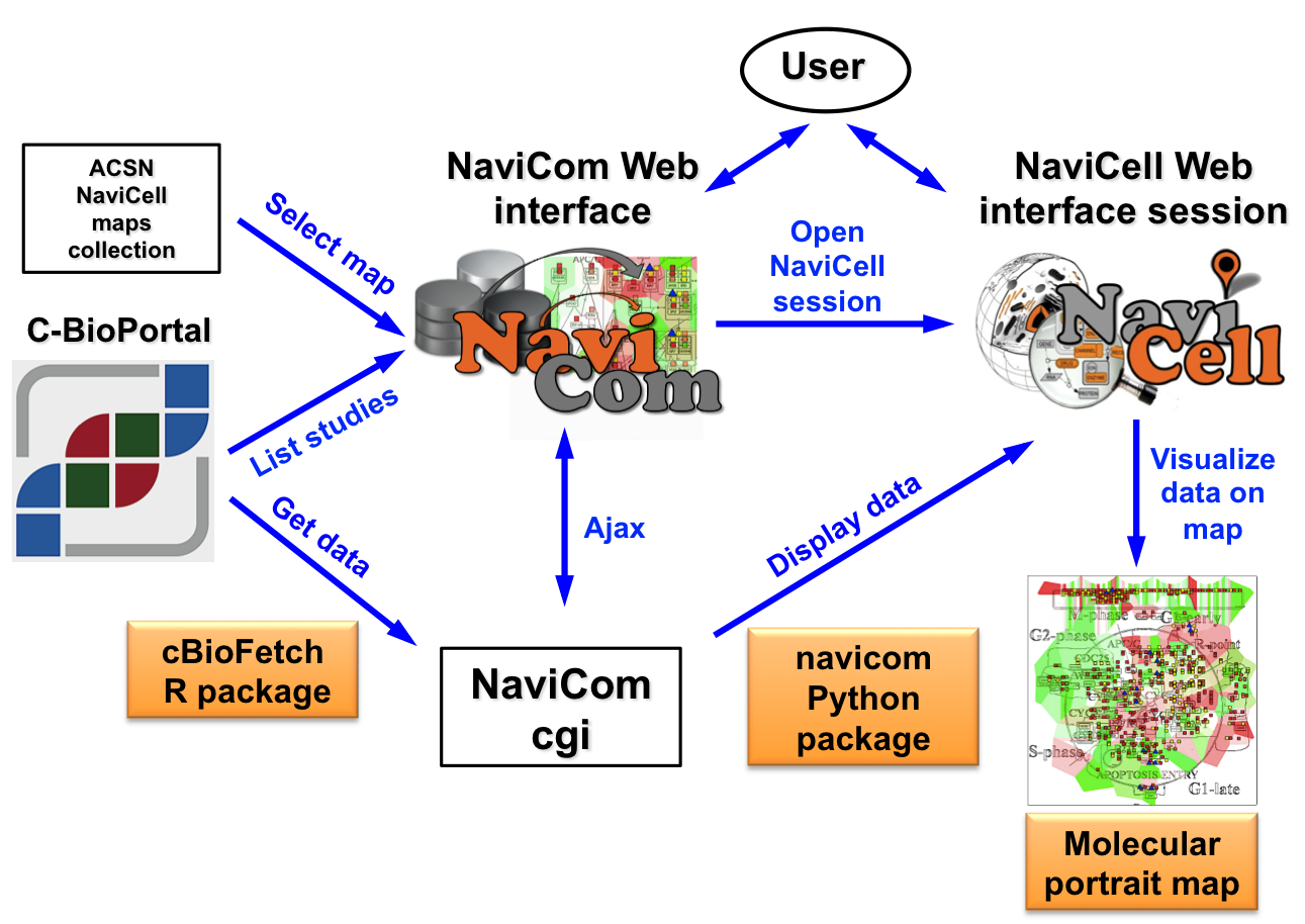 Organisation of the NaviCom service